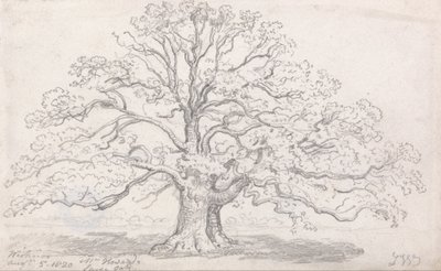 De Grote Eik van Mr. Howard, 5 Augustus 1820 door James Ward